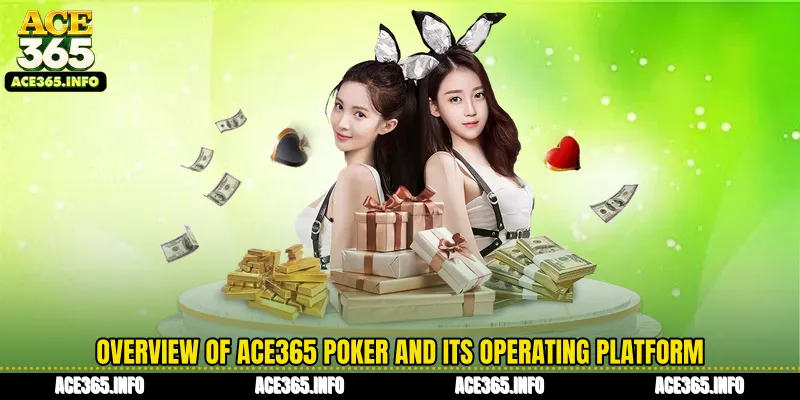 Overview of ACE365 Poker and its operating platform
