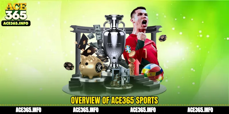 Overview of ACE365 Sports