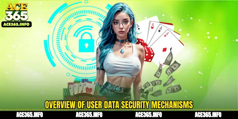 Overview of user data security mechanisms