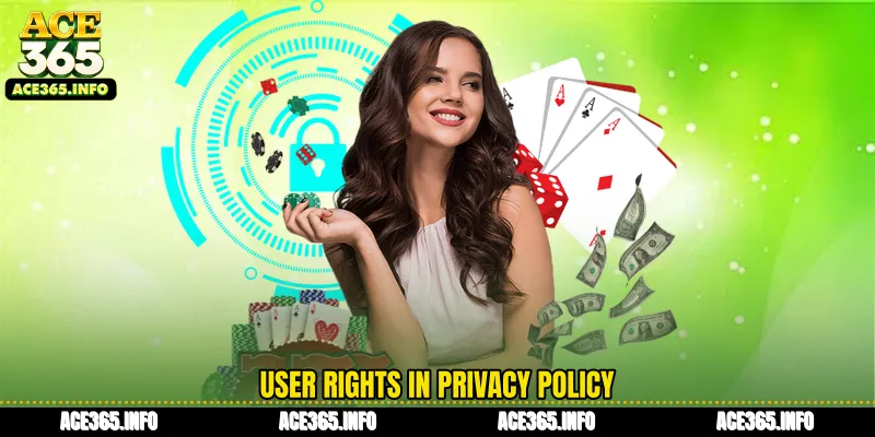 User rights in Privacy Policy